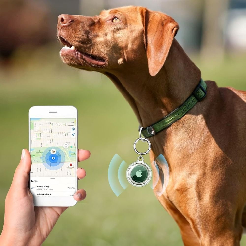 Tech-Protect Apple AirTag Icon Case m. Karabinhage - 4 stk. - Gennemsigtig