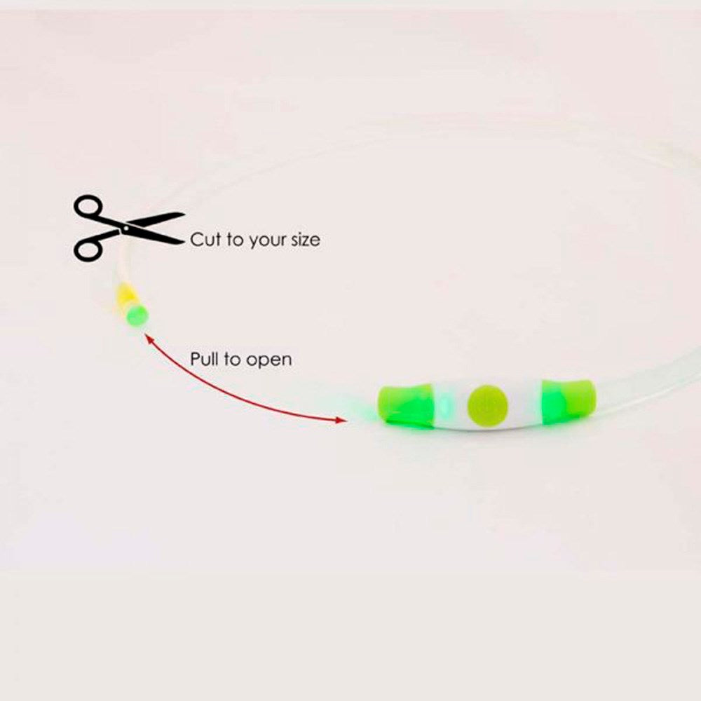 Bee-Safe LED Halsbånd til Hund - Grøn