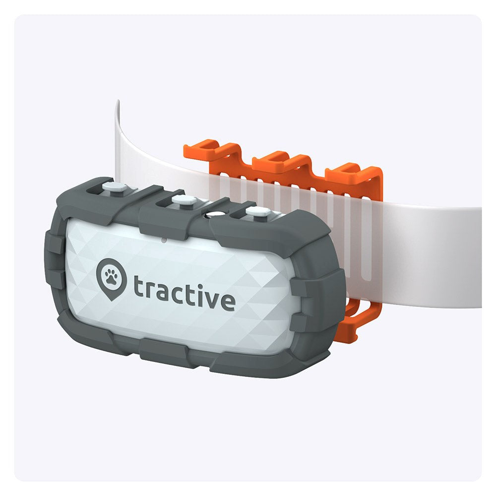 Tractive GPS Dog XL - GPS & Bluetooth Tracker til Hund - Adventure Edition - Grå