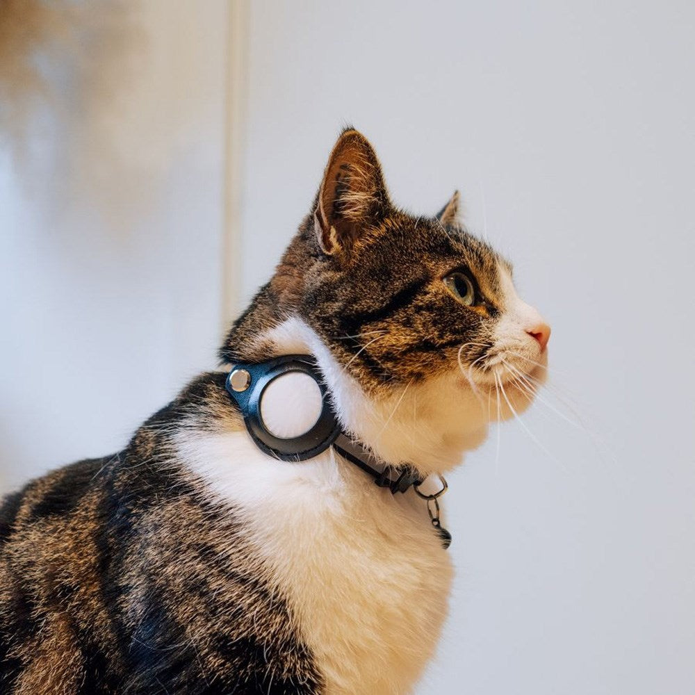 Lippa-krage (22-32 cm) med AirTag-etui - Lilla