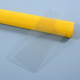 iPhone 12 Pro Max Glas Bagsidebeskyttelse - Gennemsigtig