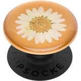 POPSOCKETS PopGrip - Presset hvit tusenfryd - Premium