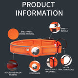 Hundehalsbånd med AirTag Holder - Str. S (30-37 cm) - Orange