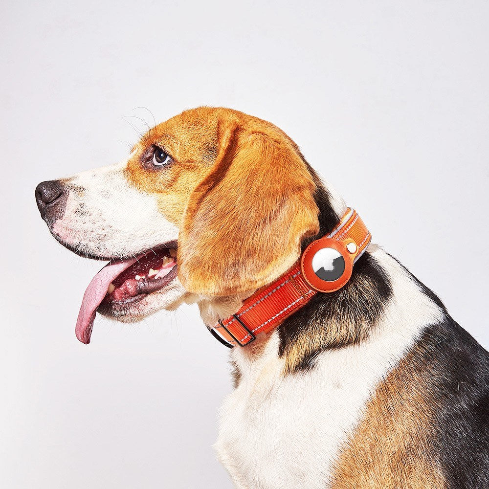 Hundehalsbånd med AirTag Holder - Str. L (43-50 cm) - Orange