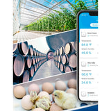 Govee WiFi termometer Hygrometer - Hvit