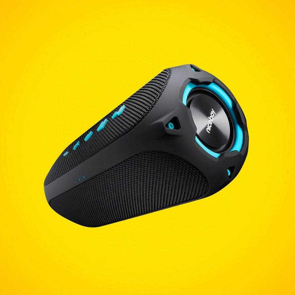 Niceboy RAZE 4 Radion 30W Bluetooth Højtaler m. Indbygget FM-Radio - Sort