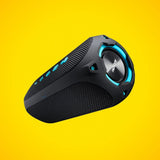 Niceboy RAZE 4 Radion 30W Bluetooth Højtaler m. Indbygget FM-Radio - Sort