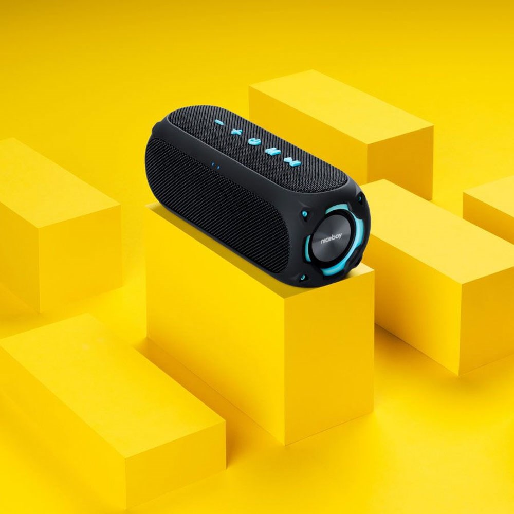 Niceboy RAZE 4 Radion 30W Bluetooth Højtaler m. Indbygget FM-Radio - Sort