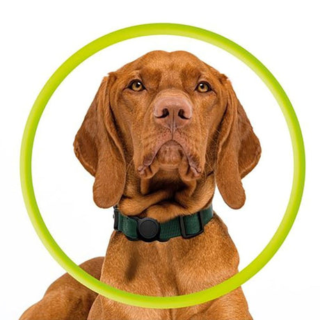 Mobile Origin AirTag Cover til Halsbånd - Sort