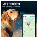 Tractive GPS Dog XL - GPS &amp; Bluetooth Tracker for hunder - Grønn