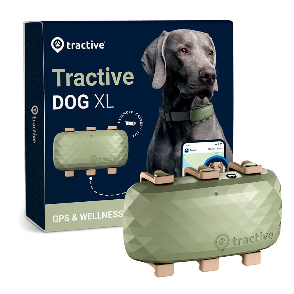 Tractive GPS Dog XL - GPS &amp; Bluetooth Tracker for hunder - Grønn