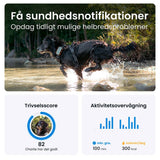 Tractive GPS Dog XL - GPS &amp; Bluetooth Tracker for hunder - Adventure Edition - Grå