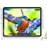 iPad 11" (2025) / iPad 10,9" (2024/2022) HOFI Paper Pro+ Plast skjermbeskytter - Matt gjennomsiktig