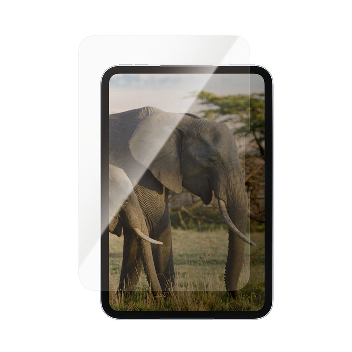 iPad Mini (2026) 8. Gen. PanzerGlass Ultra-Wide Fit Skærmbeskyttelsesglas - Gennemsigtig