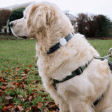 Lippa Silikon Apple AirTag Holder for Halskjede - Lilla